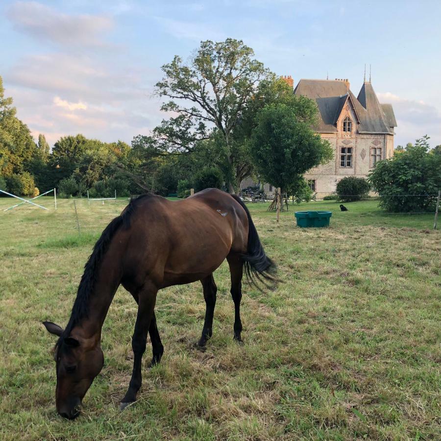 Montreuil-sur-MaineManoir De La Chouanniere别墅 外观 照片