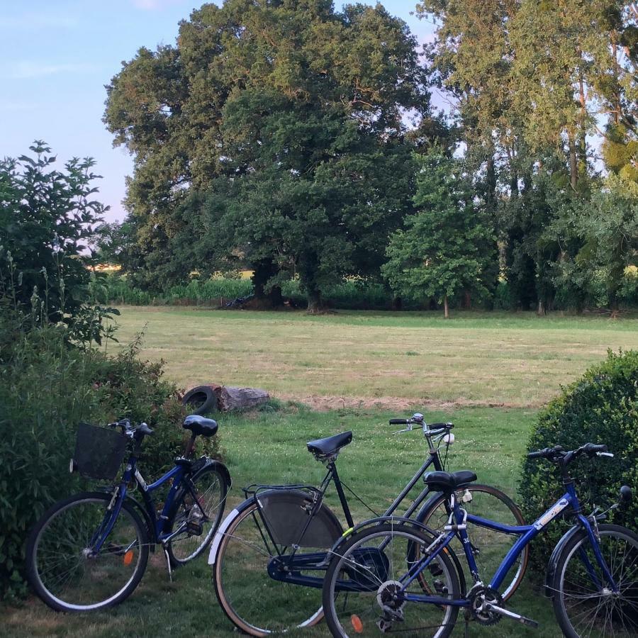 Montreuil-sur-MaineManoir De La Chouanniere别墅 外观 照片